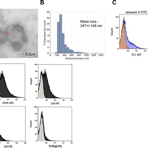 Characterization Of Cd4 T Cell Derived Evs From Art Naive Download Scientific Diagram