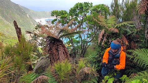 Kākāpō breeding - behind the scenes | Conservation blog