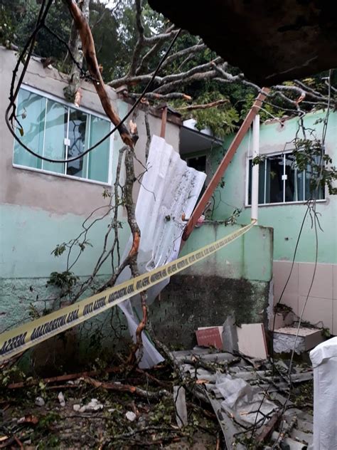 Árvore cai sobre casa durante chuva em Volta Redonda Sul do Rio e