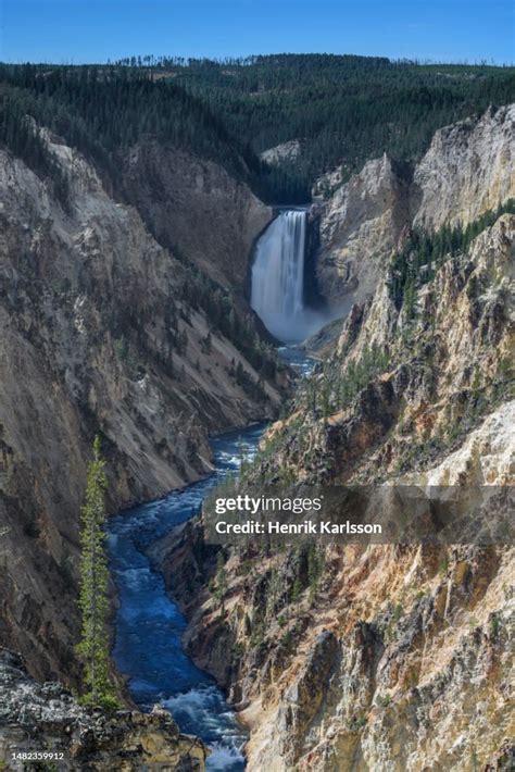 Lower Falls Of Yellowstone River In Grand Canyon Of Yellowstone High