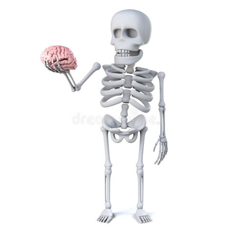 3d Skeleton Has A Nice Looking Brain Stock Illustration Image 67136886