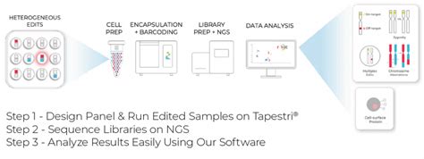 Coming Soon To A Cell Therapy Near You The Tapestri Genome Editing