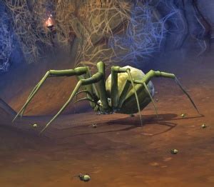 Barrow Spider NPC World Of Warcraft