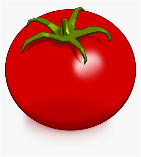 Tomato Drawing Vegetable Clip Art Tomate Clipart Hd Png Download