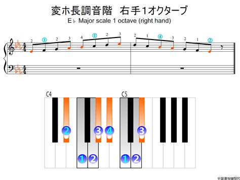 変ホ長調音階・右手1オクターブの指使い詳細 全調運指鍵盤図