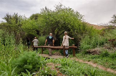 Parque Nacional Lihué Cale En La Pampa Argentina Guía Actualizada