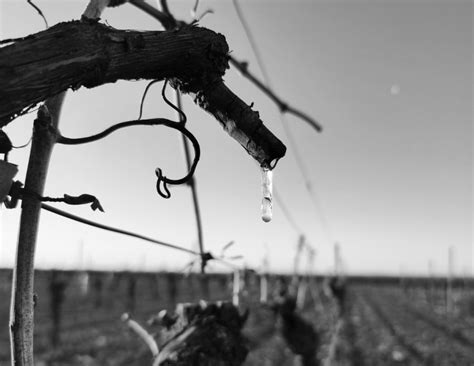 Laura Pilar Navarro Gana El Primer Premio Del Concurso Fotogr Fico El