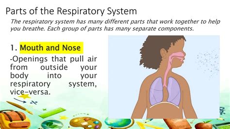 Respiratory System Grade 9 Science Quarter 1 Week 1 Ppt