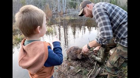 Maine Beaver Trapping Catch And Cook Campfire Youtube