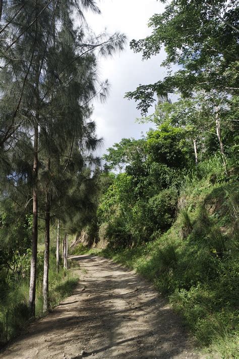 Sur la route Lavial La Vallée de Jacmel Haïti Benjamin Bourdon