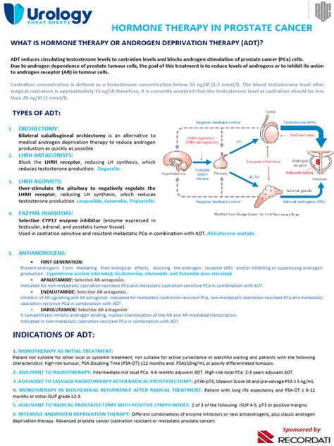 ANDROGEN DEPRIVATION THERAPY ENGLISH v6.02305843009217033820 | PDF ...