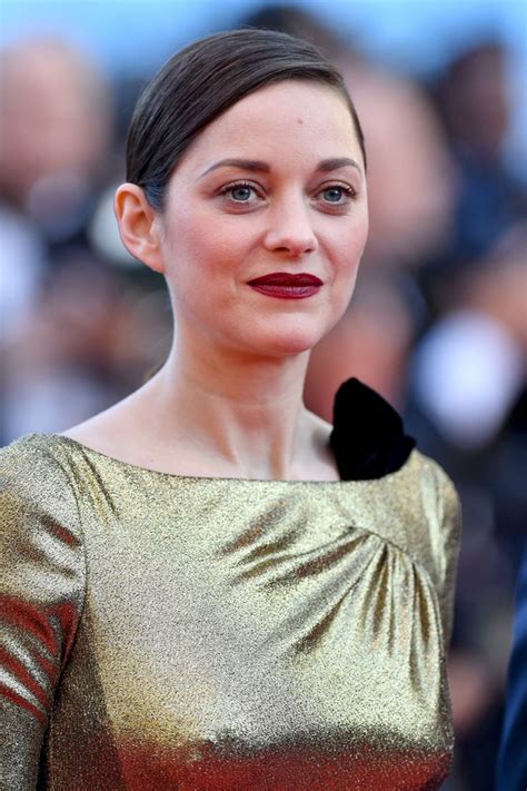 Better CANVA App No Monthly Payment Visit Site Marion Cotillard