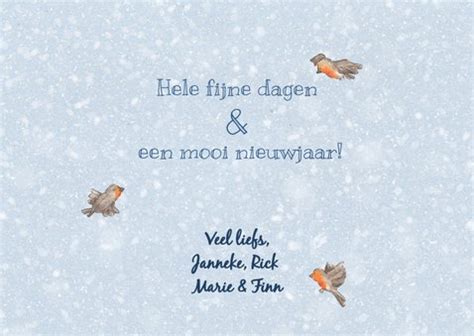 Happy Holidays Roodborstjes Kerstkaart Kaartje Go