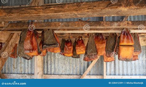 Specialty of Iceland Called Hakarl Fermented Shark Stock Image - Image ...