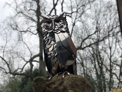 Stainless Steel Owl Sculpture Garden Sculpture Owl Etsy