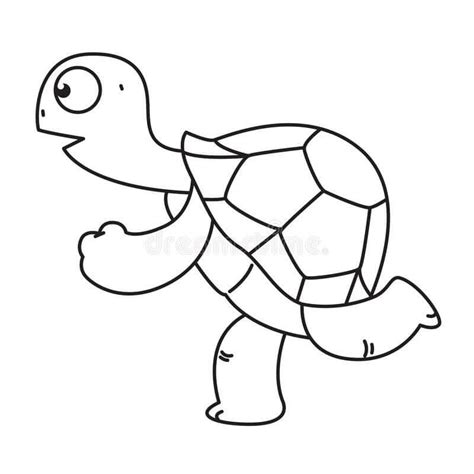 Tortuga Corriendo Para Colorear Imprimir E Dibujar Coloringonly Com