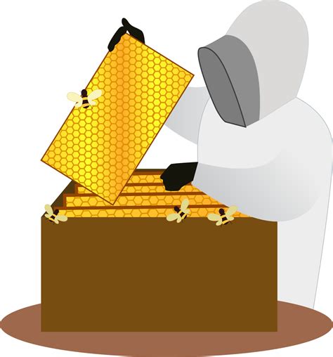 Harvesting Honey Vector Illustration Worker Harvesting Honey On An