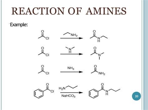 Aromatic Amines Ppt