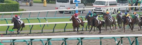 ＜中山3r新馬戦＞逃げ切って圧勝したコマノカモン（左端）＝撮影・郡司 修 ― スポニチ Sponichi Annex ギャンブル