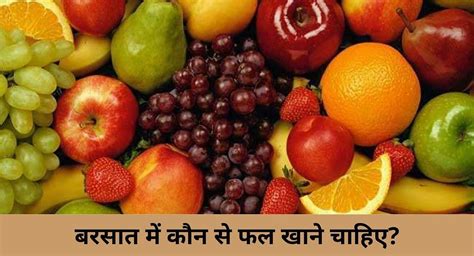 बरसात में कौन से फल खाने चाहिए Which Fruits Should Be Eaten In Rainy Season In Hindi