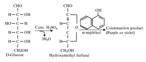 Molisch S Test