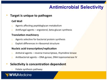 MICB Block2 Introduction To Antimicrobials Flashcards Quizlet