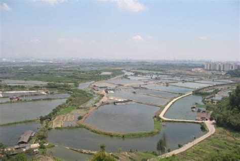 广州大岭村，深藏于珠江角落的历史文化名村 珠江 大岭 玉带河 新浪新闻