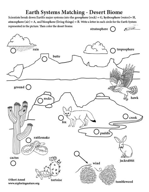 Desert Biome Drawings