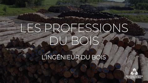 Les Professions Du Bois L Ing Nieur Du Bois Youtube