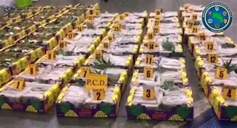 Decomisan Cargamento De Droga En Un Contenedor Que Iba Para Francia Con Piña Como Carga Lícita