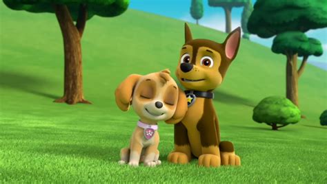 Chase X Skye Paw Patrol Relation Ship Wiki Fandom Powered By Wikia