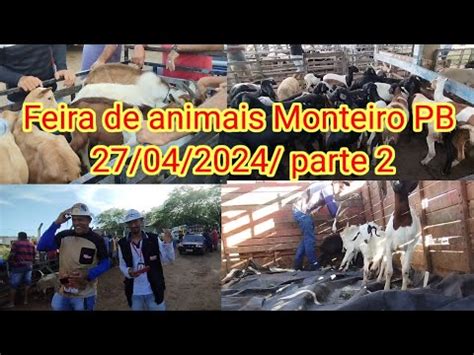 Feira De Caprinos E Ovinos Em Monteiro PB 27 04 2024 Parte 2 YouTube