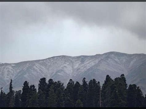 J K Gulmarg Receives Season S First Snowfall