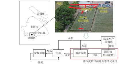 基于多功能耦合的潮汐流稻田湿地生态净化系统研究