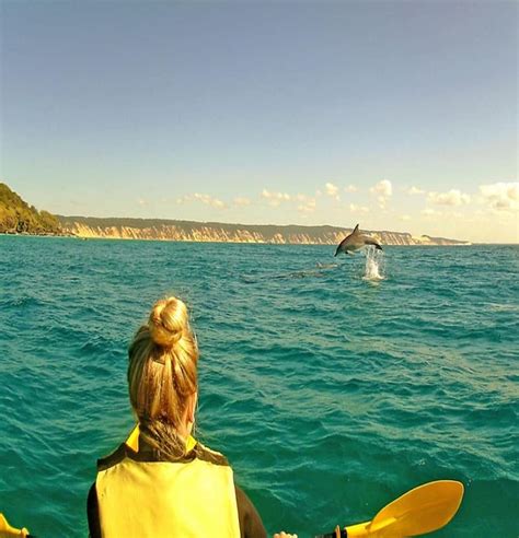 Noosa Kayak Tours Dolphin Kayak Tours Adventures