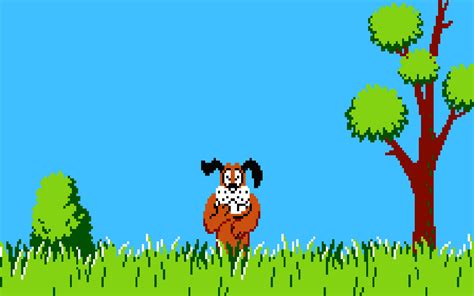 Duck Hunt Wallpapers Wallpaper Cave