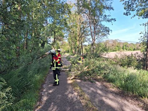 Baum Droht Auf Stra E Zu St Rzen In Hoogstede Feuerwehr Emlichheim