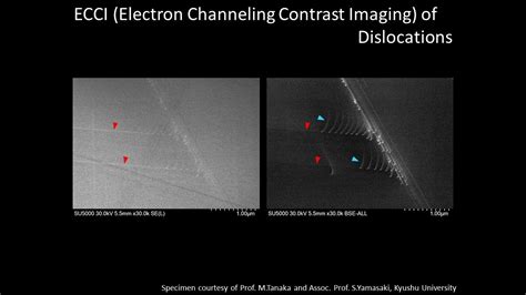 Materials Ecci Electron Channeling Contrast Imaging Of Dislocations