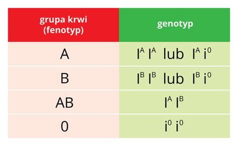 Fiszki Dziedziczenie Grupy Krwi Quizlet