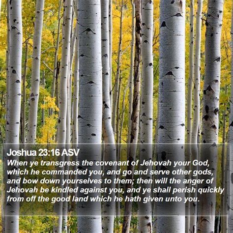 Joshua 23 Scripture Images - Joshua Chapter 23 ASV Bible Verse Pictures