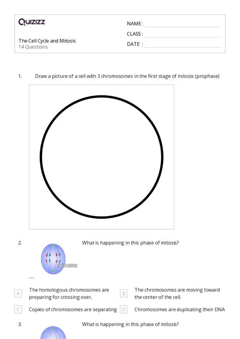 The Cell Cycle And Mitosis Worksheets For Th Grade On Quizizz