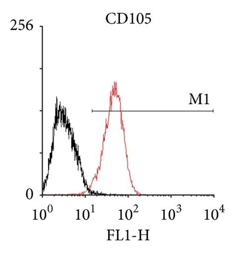 Immunophenotype Analysis Revealed That Bmscs Cultured On Tcps And Ecm Download Scientific