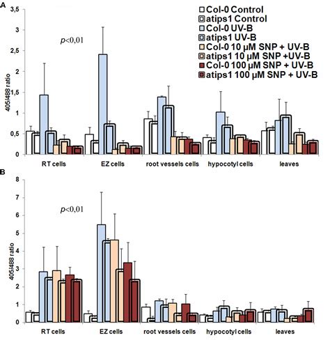 Frontiers Involvement Of Inositol Biosynthesis And Nitric Oxide In