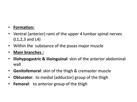 Femoral Nerve Ppt