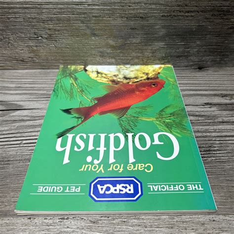 Rspca Pet Guide Care For Your Goldfish Step By Step Instruction