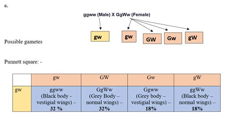 Solved In Drosophila Melanogaster The Genes For Grey Body Color And