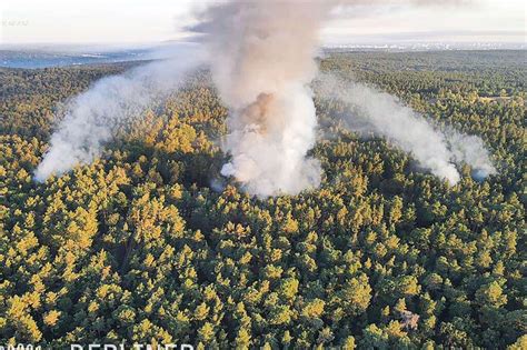 Warum Ist Der Brand Im Grunewald So Gef Hrlich Erkl R S Mir