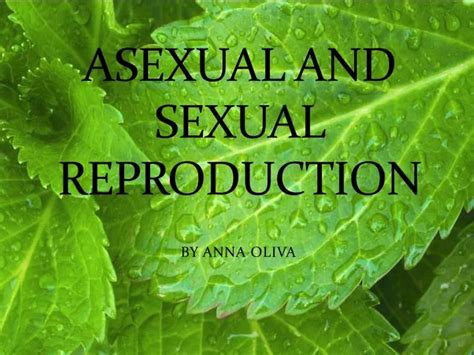 Ppt Asexual And Sexual Reproduction Powerpoint Presentation Free Download Id2222383