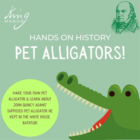 21 Drawing A Alligator Aarlenenojus