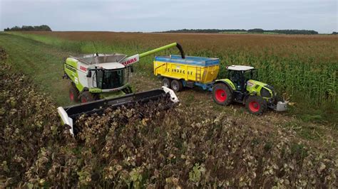 RÉCOLTE DE TOURNESOL 2023 CLAAS LEXION 760 MORESIL GB 750